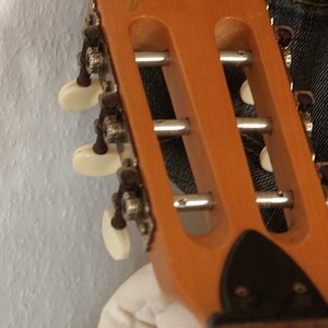 PICT1561_GrÃ¶Ãe Ã¤ndern.jpg