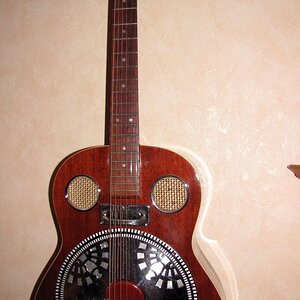 Shaftesbury Resonator klein.jpg