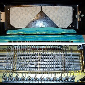 hohnerLucia3Pgekauft-Okt.2015 013.JPG