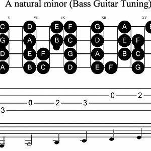 bass-scale-a-minor (1).png