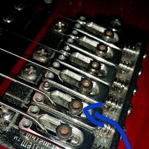 2015-11-28 14.46.20.jpg