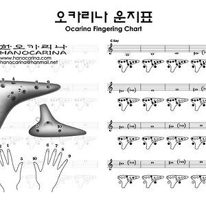 HanOcarina Grifftabelle.jpg