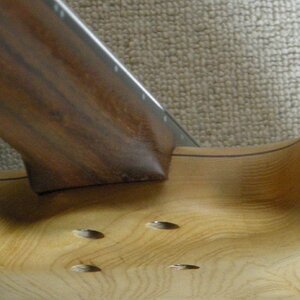 FNA Hals-Korpus-Ãbergang von unten.jpg