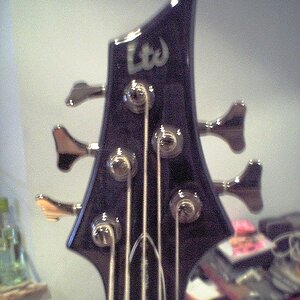 Headstock.jpg