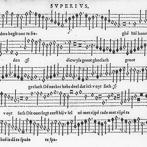 Hoort mijn vermaen Anonym in Phalèse Louvain1571 Superius S2.jpg