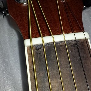 20160423_141933.jpg