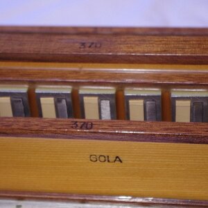 Gola Stimmstock1.JPG