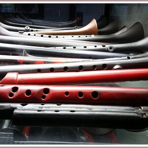 20160624_184843 Rsig Trichterflöten Klaus Grunwald.jpg