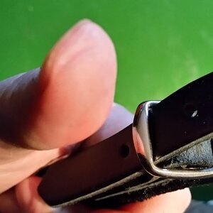 2016-03-12 16.41.40.jpg