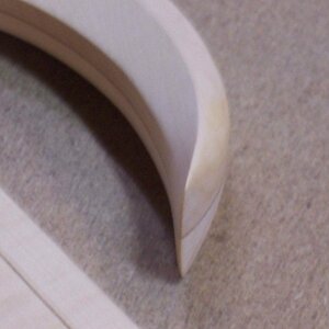 (017) Horn bestens poliert.jpg