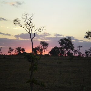 Cerrado am Abend.JPG