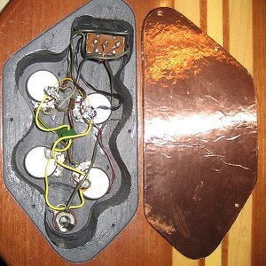 image5.jpg