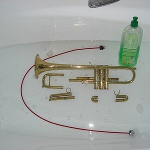 trompetenreinigung.jpg