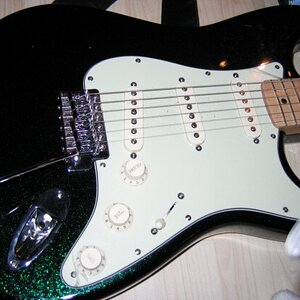 Fender verkleinert1.JPG