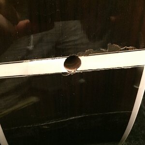 Foto 11.10.16, 18 57 44.jpg