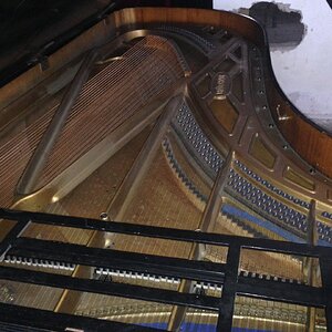 2016-10-14 17.00.05.jpg