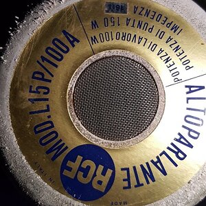 leslie speaker 1.jpg