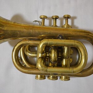Bessons-fake-trumpet2.jpg