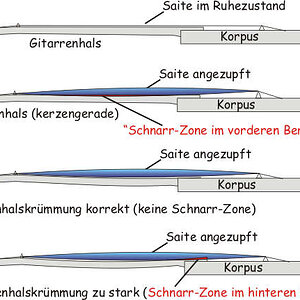 hals.jpg
