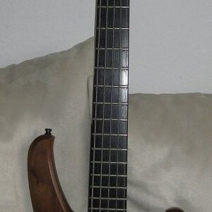 Status 5 Original.JPG