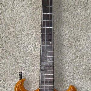 J.D. von Paris shortscale.JPG