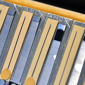 Stimmzunge AMOP.nah_(DSC_8947).jpg