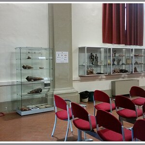 20170429_095945 stennes-falter Budrio Auditorium.jpg