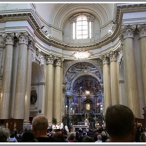 20170430_111343 stennes-falter Bologna Rosenkranzweg San Luca.jpg