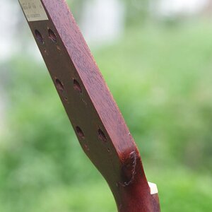 Seagul mit geleimtem Halsbruch 05.jpg