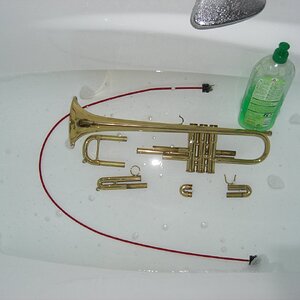 trompetenreinigung3.jpg