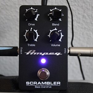 Ampeg Scrambler.jpg