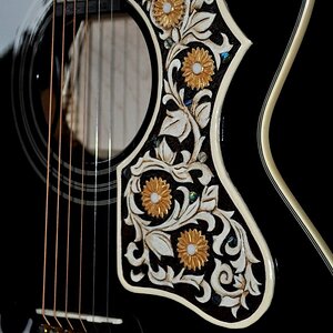 Country Boy Epi 200 PG close schraeg.JPG