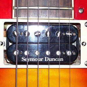 Duncan Pickups015 klein.JPG