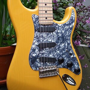 MGH Pickguard.jpg