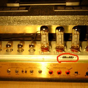 TSL rÃ¼ck bias.gif