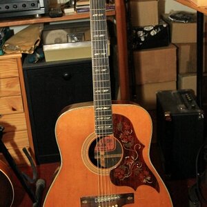 Yamaha FG30023_01_2016_002.JPG