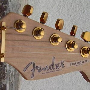 fender.JPG