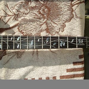 Ibanez RG 2820 Fretboard.jpg