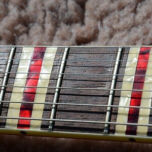 09 Höfner 175 Vinyl 1964 19.jpg