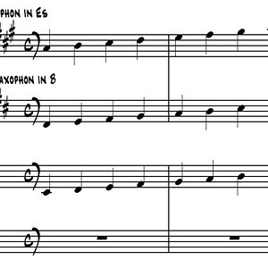 transpon tsaspiano.jpg