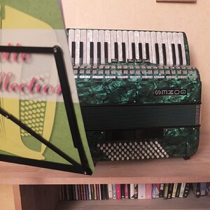 grünes Akkordeon.JPG