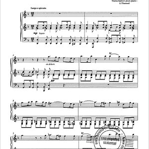 Beispiel Vivaldi-Bach.jpg