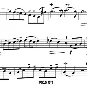 sinfonia zählen.jpg