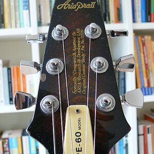 aria_headstock.jpg