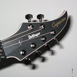 Caparison 002.jpg