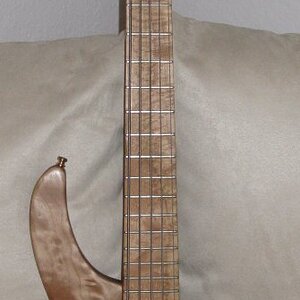 Kaiser Jost Bass 5 shortscale.JPG
