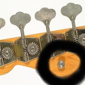 Jazz Bass Headstock.jpg