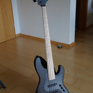 Dark Evolution 1.JPG