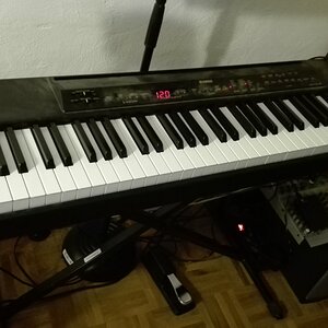 2019-01-22 20.18.08.jpg