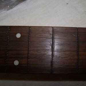 01 EntgrÃ¤tet und SchÃ¤den am Palisander.jpg